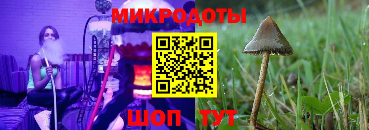 Галлюциногенные грибы мицелий Майкоп