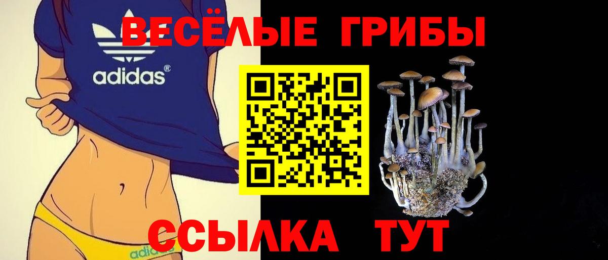 Майкоп  Псилоцибиновые грибы мухоморы  Псилоцибиновые грибы Psilocybe  Вход с VPN 